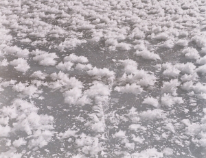 Eisblumen